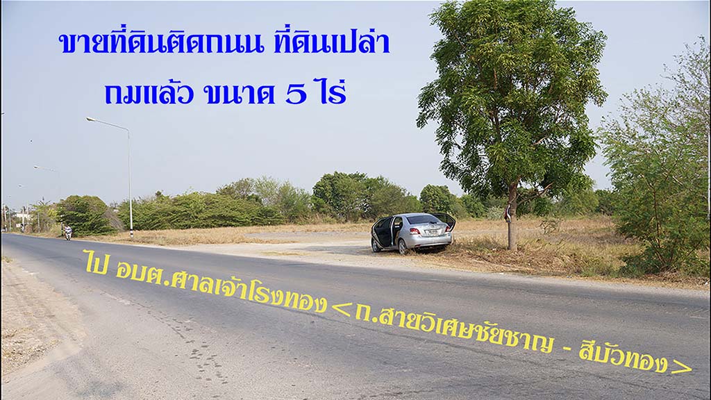 ขายที่ดินติดถนน เป็นที่ดินเปล่า ถมแล้ว ขนาด 5 ไร่ พัฒนาได้ทันที