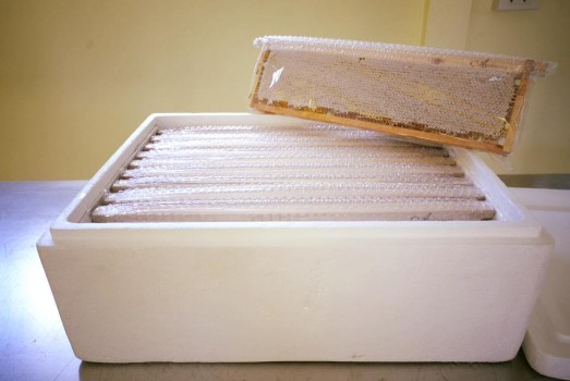 รวงผึ้งแท้ 100% (Honey Comb in the frame) น้ำหนัก 1.5-1.9 กิโลกรัม (โดยประมาณ) ต่อ 1 เฟรม บรรจุกล่อง ในกล่องมี 10 เฟรม ยี่ห้อ Ambrosia