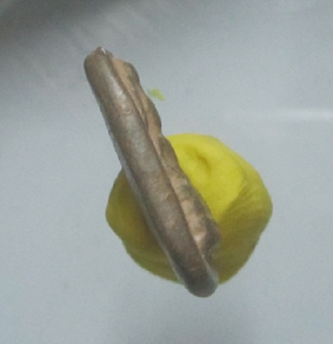 พระนาคปรก เนื้อดิน หลังลายมือ ไม่ทราบที่ พระบาง ไม่หนา