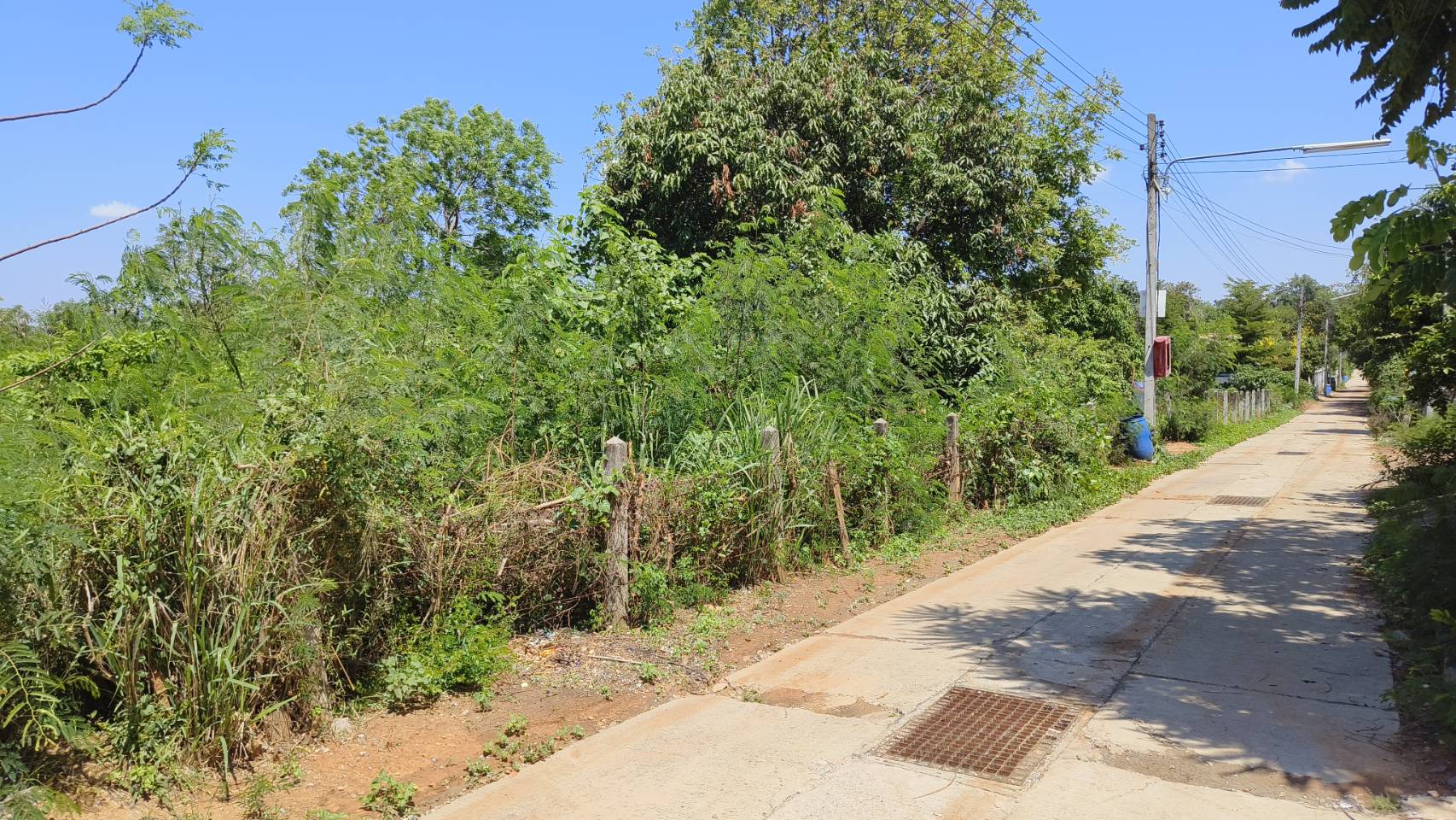 ขายที่ดิน 400 ตร.วา อยู่ในเขตเทศบาลตำบลลาดบัวขาว อำเภอสีคิ้ว นครราชสีมา