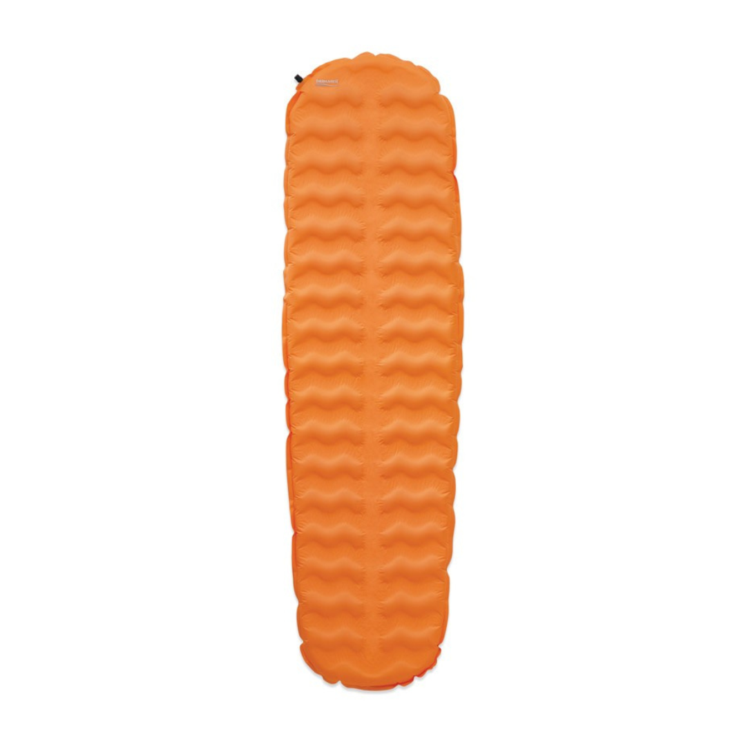 Evolite Regular