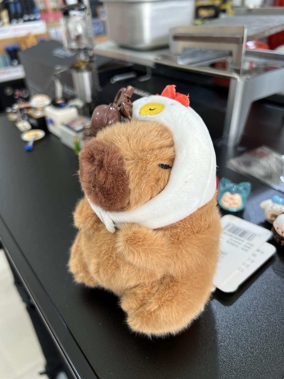 Capybara Jenny Chick