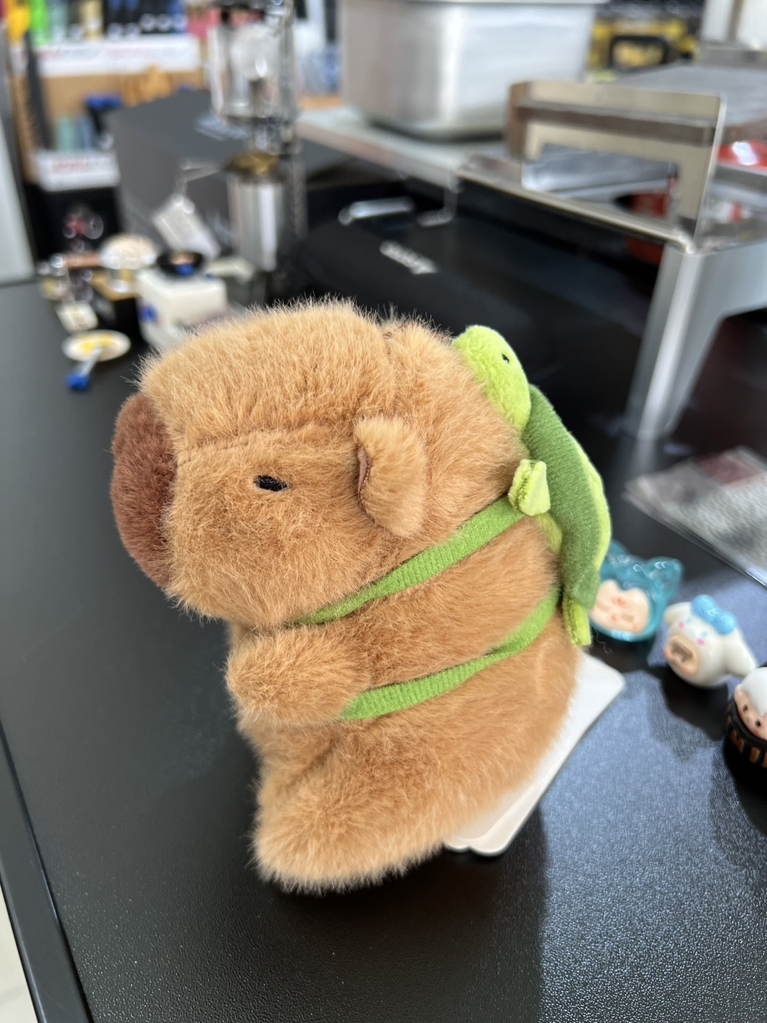 Capybara Jenny Turtle