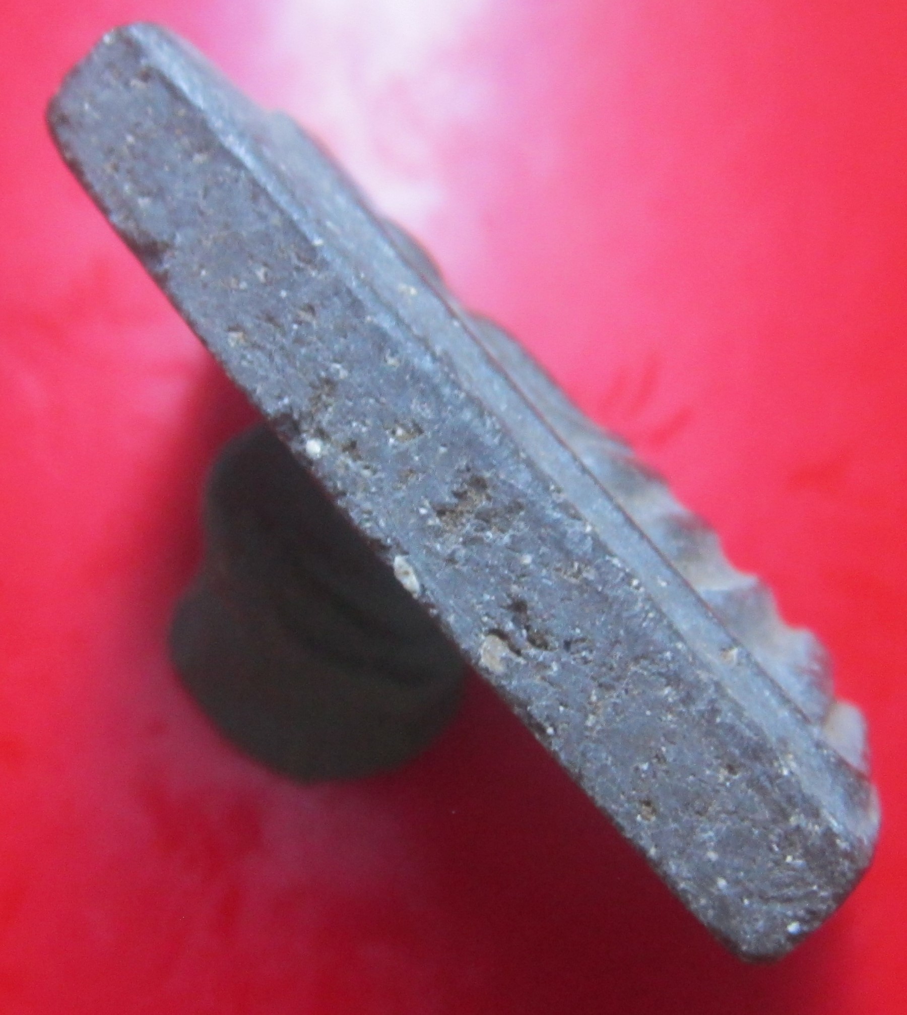 พระสมเด็จกริ่ง พญางิ้วดำ หลวงพ่อพลอยวัดทุ่งโพธิ์ จ.อุทัยธานี กริ่งไม่ดัง องค์ที่4