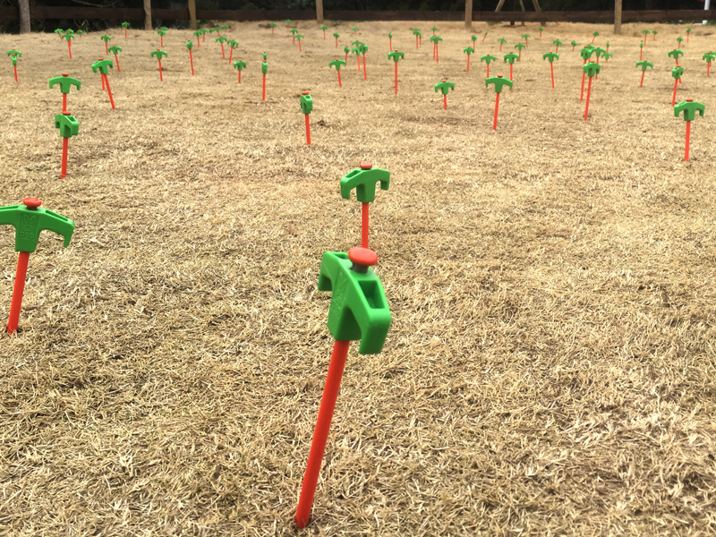 DoD Carrot Peg PG1-573-OR