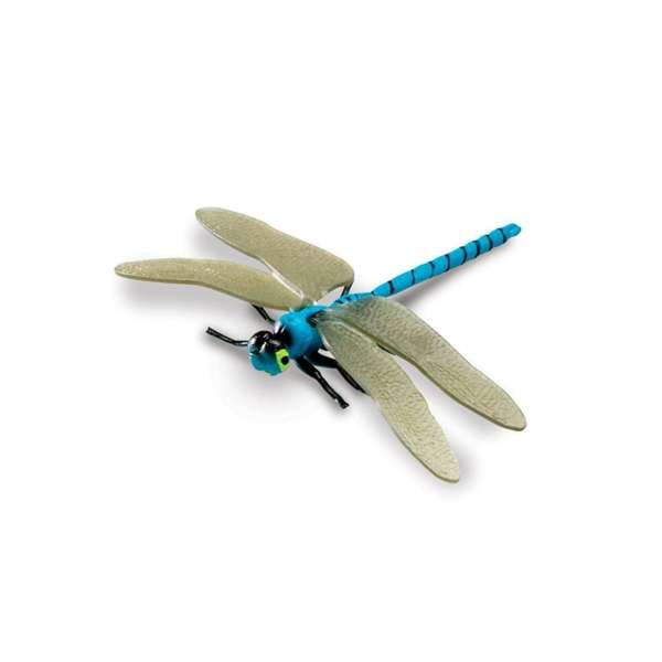 ชุดโมเดลของโลกแมลง insect, ทดลองวิทยาศาสตร์ของเล่นเสริมทักษะ,ของเล่นเสริมพัฒนาการเด็ก, สือการสอนครูปฐมวัย, พร้อมส่ง