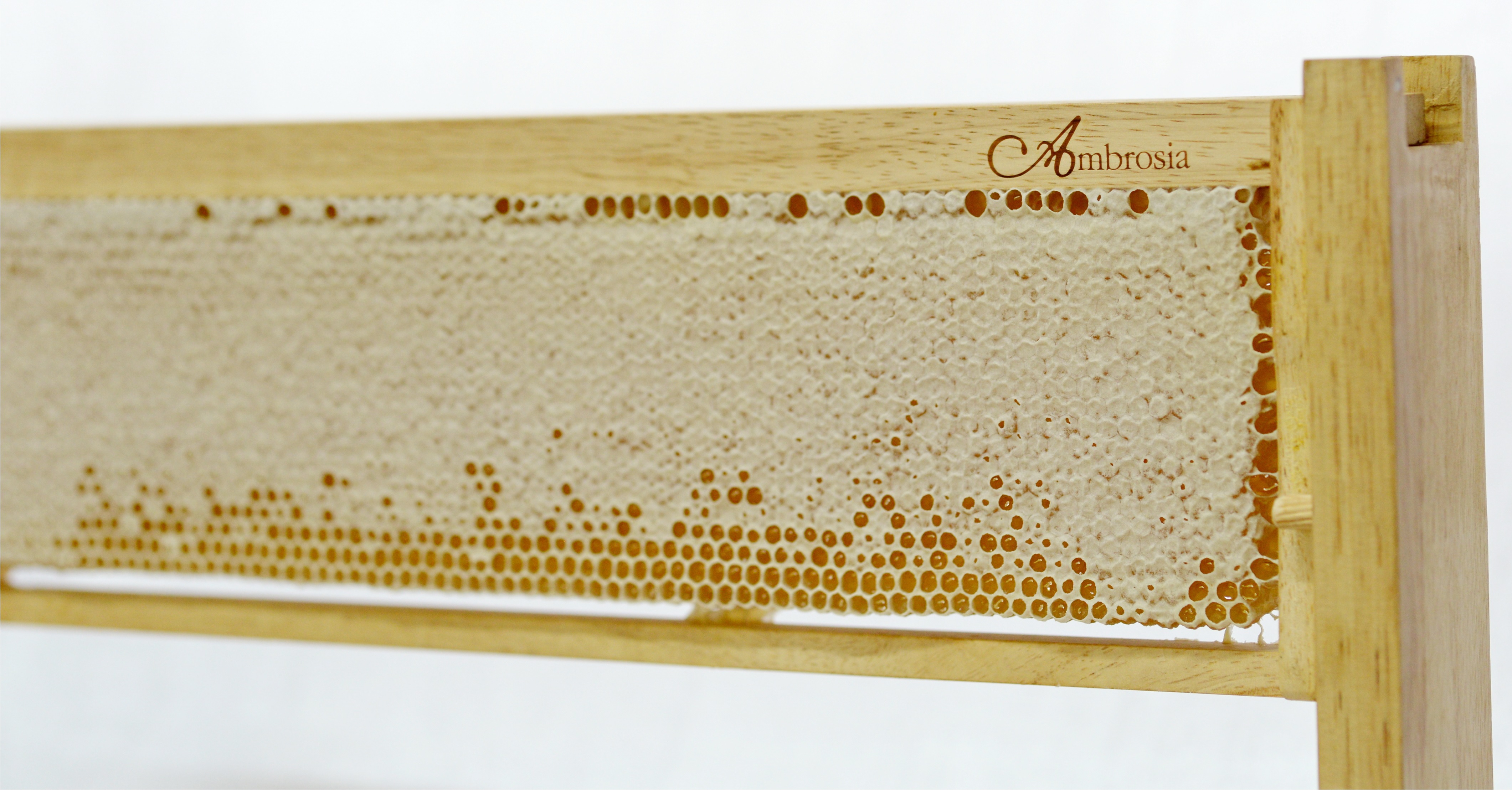 รวงผึ้งแท้ 100% (Honey Comb in the frame) น้ำหนัก 1.5-1.9 กิโลกรัม (โดยประมาณ) ต่อ 1 เฟรม บรรจุกล่อง ในกล่องมี 10 เฟรม ยี่ห้อ Ambrosia