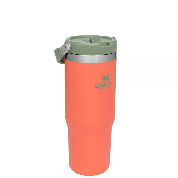 Classic Flip Straw Tumbler 30Oz Guava