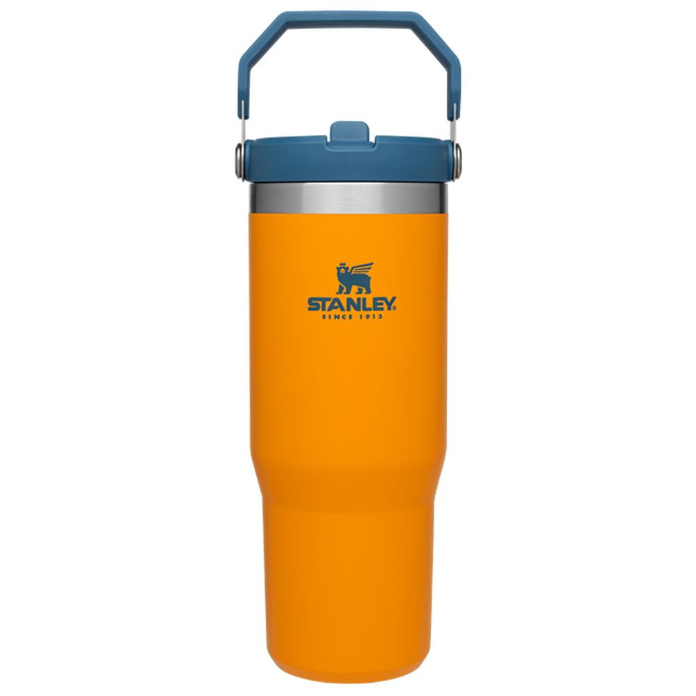Classic Flip Straw Tumbler 30Oz Saffron