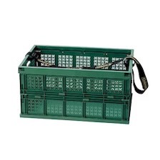 CM JP Belt Container L Green