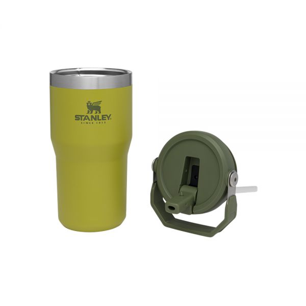 Classic Flip Straw Tumbler 20Oz Aloe