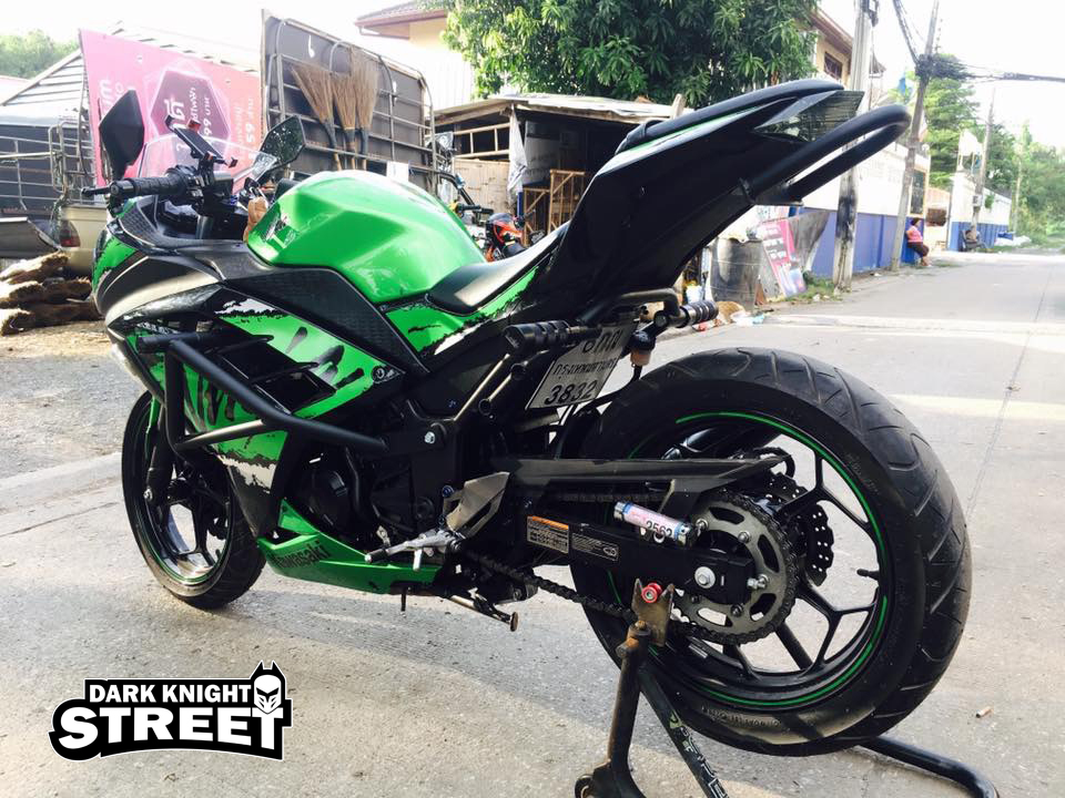 Kawasaki Ninja300/250 , Z300/250 Tail Round bar
