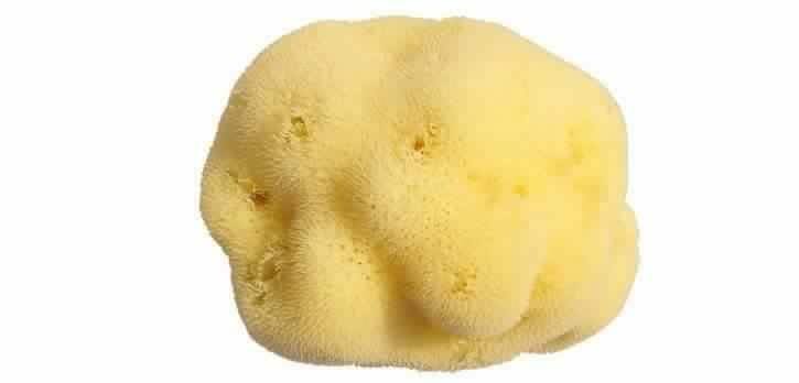 100% Mediterranean Natural Sea Sponge Size S (9 cm)