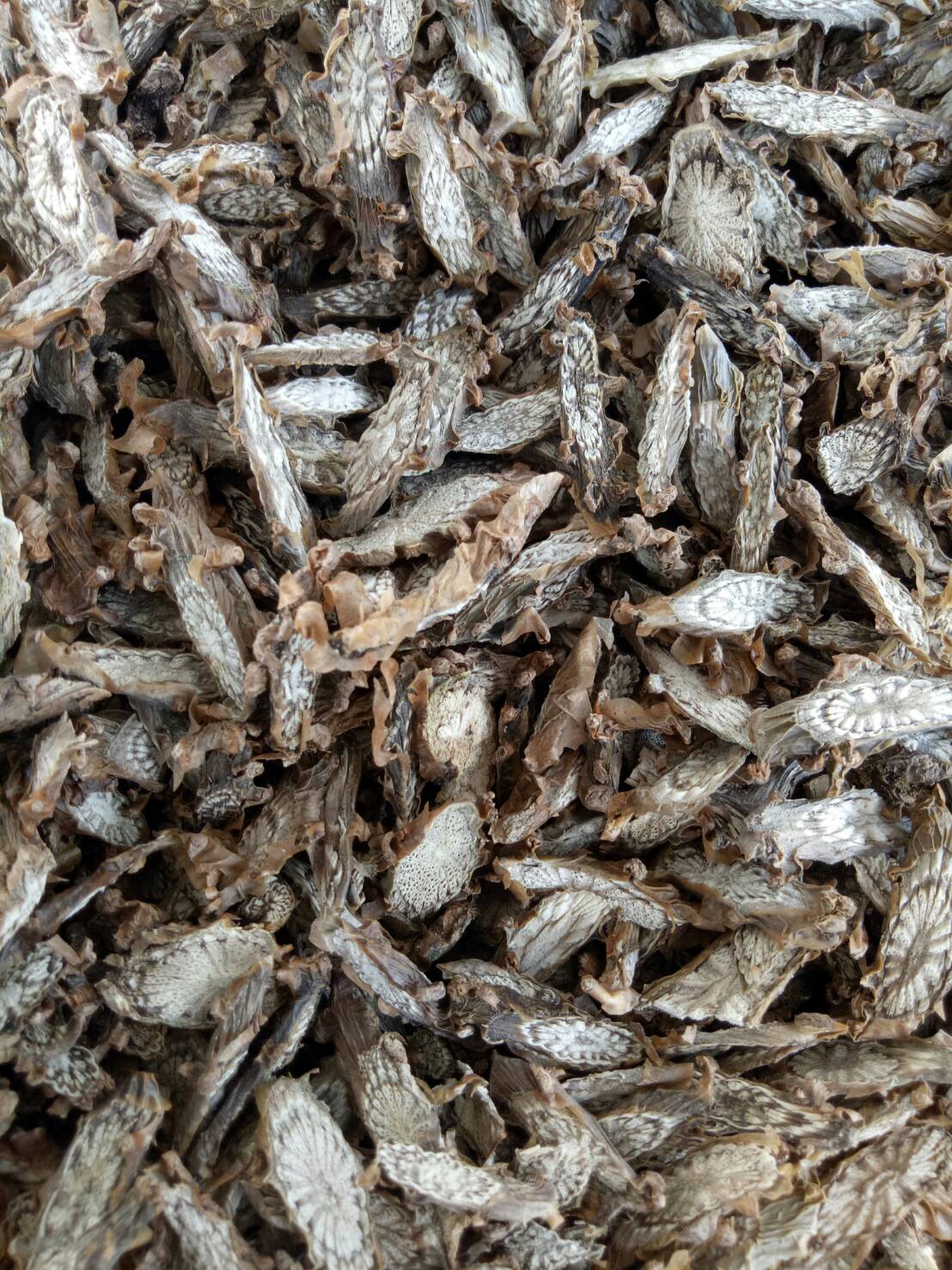 บอระเพ็ดชิ้นตากแห้งหั่นเเว่น (กิโลกรัม 250 บาท)