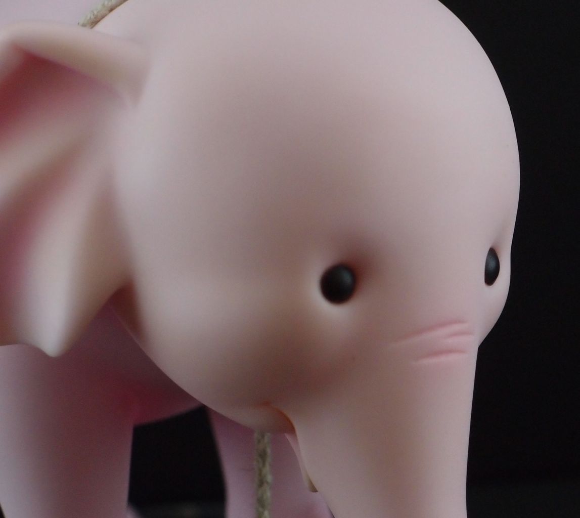 Funkfreed ของแท้ JP แมวทอง - Grandline Children Banpresto [โมเดลวันพีช]