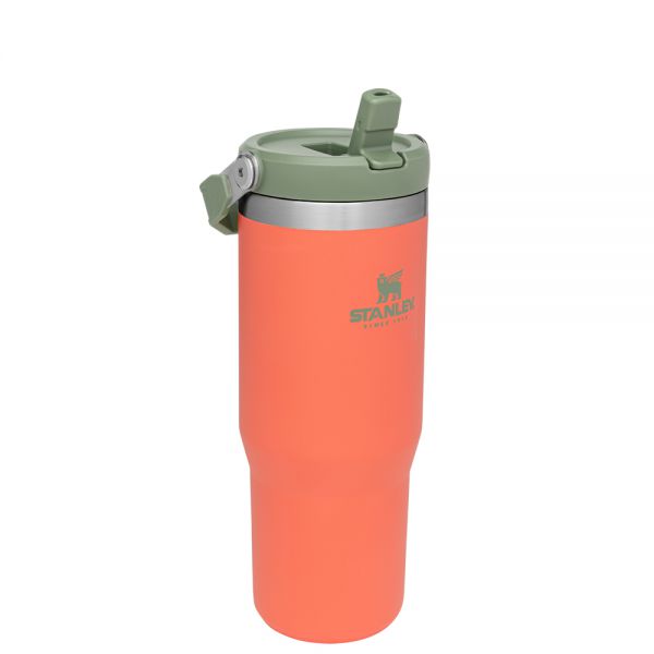 Classic Flip Straw Tumbler 30Oz Guava
