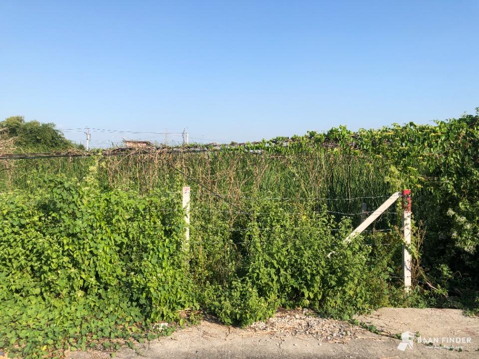 ที่ดิน ซอยเลียบวารี 35 ซอยธนบัตรชัย เนื้อที่ 100 ตารางวา แบ่งได้