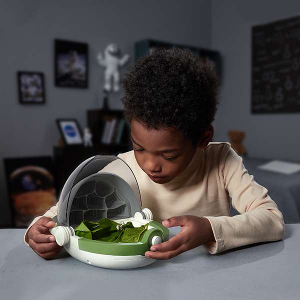 ชุดกล่องเลี้ยงหนอนไหมแสนสนุก แบบพกพา สื่อการสอนอนุบาล,ปฐมวัย,ของเล่นเสริมพัฒนาการ, ของเล่นเสริมทักษะ