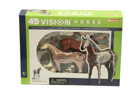 โมเดลม้า (4D Vision Horse) ,ของเล่นเสริมพัฒนาการ, ของเล่นเด็กอนุบาล, สื่อการสอนเด็กอนุบาล}วิทยาศาสตร์ทดลอง