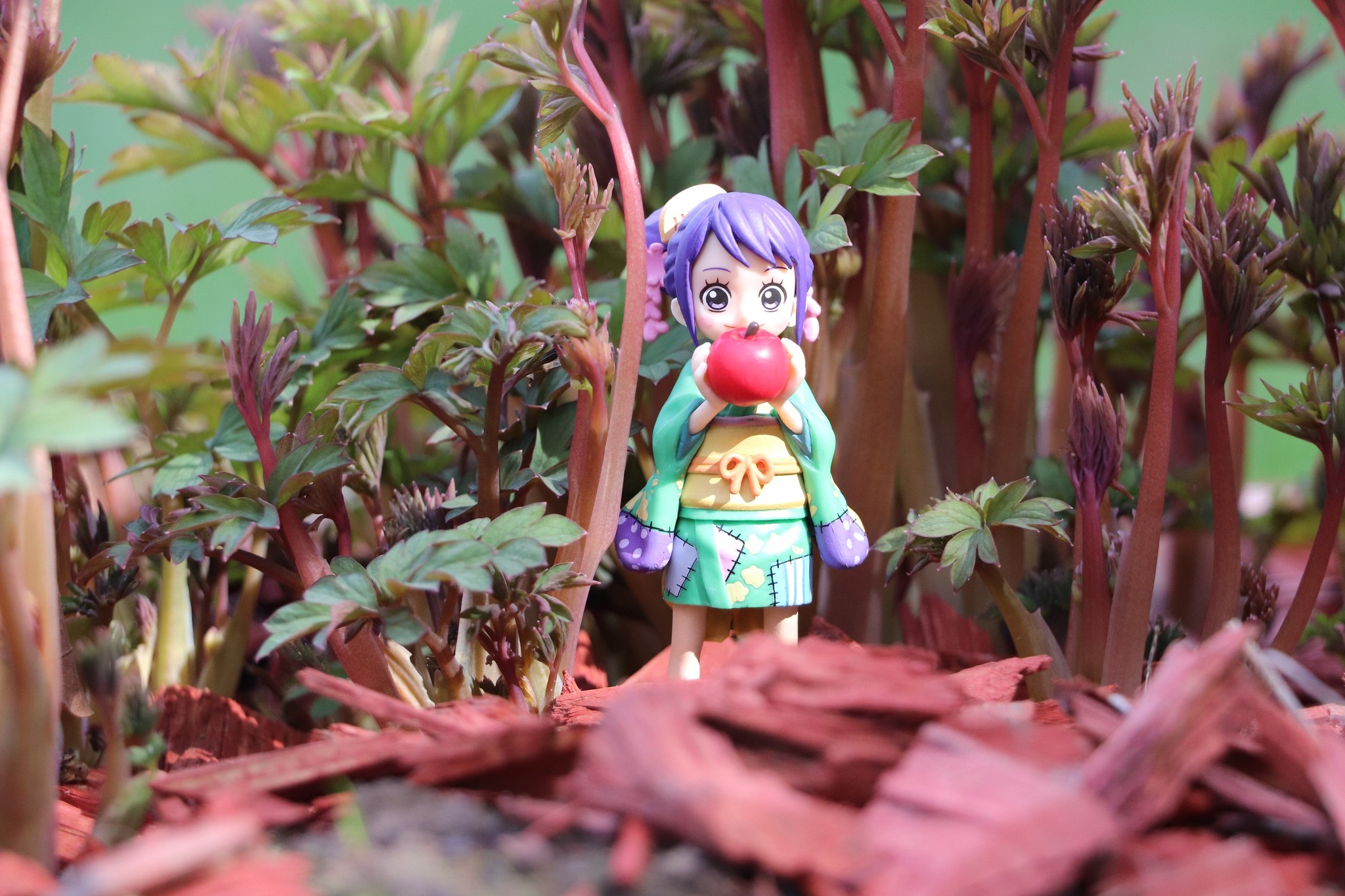 Brook Wano & Tama ของแท้ JP แมวทอง - Figuarts Zero Bandai [โมเดลวันพีช] (2 ตัว)