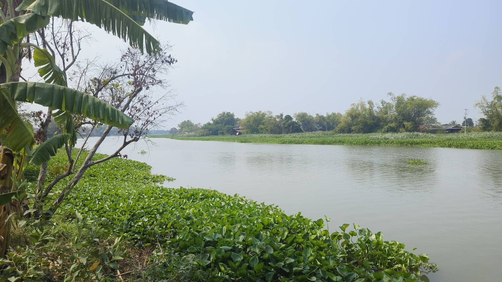 🌿 ขายด่วน! ที่ดินติดแม่น้ำ ทำเลทอง แหล่งท่องเที่ยว จ.นครปฐม 📍 บางระกำ บางเลน นครปฐม