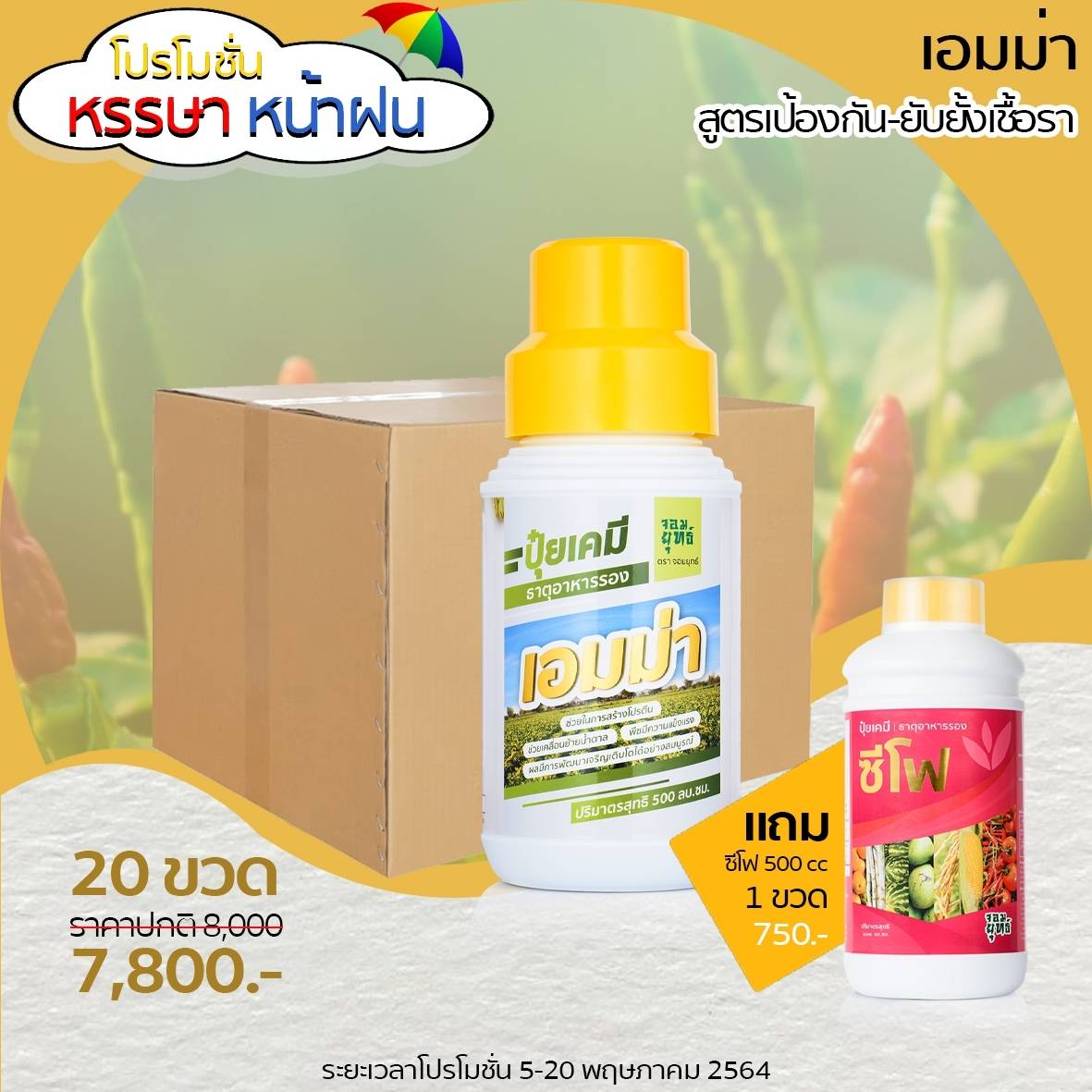เอมม่า สูตรป้องกันเชื้อรา1ลิตร 1ลัง12ขวด (แถมฟรี เสื้อเอฟอช 1 ตัว)