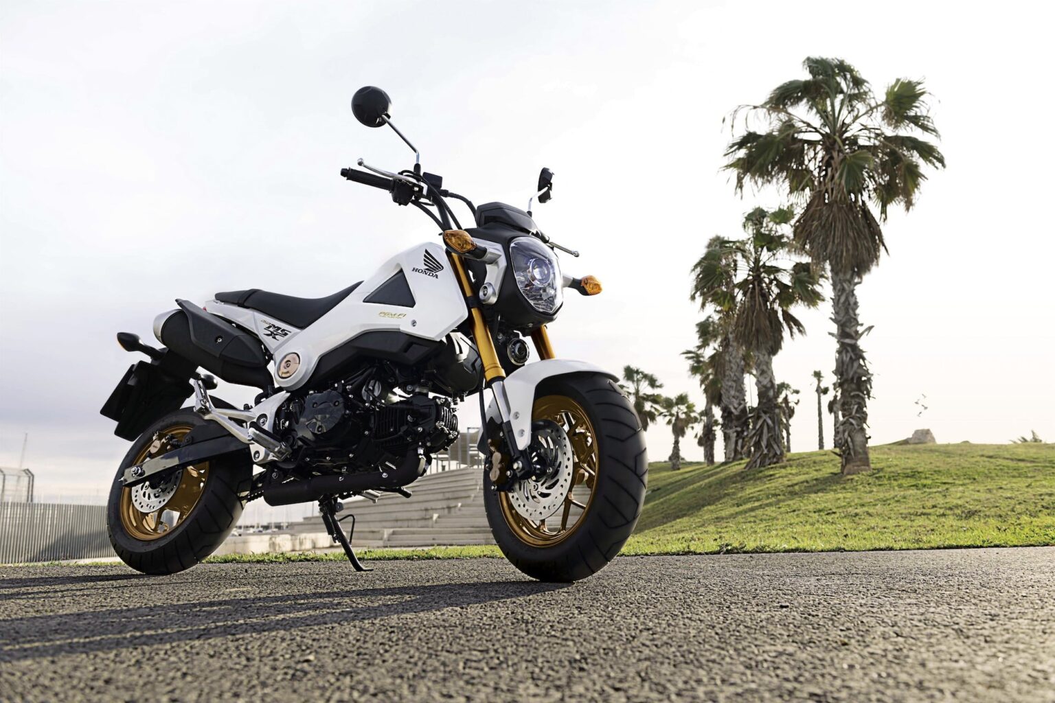 All complete kit for GROM gen1 (12-15) conversion to CRF110 2018