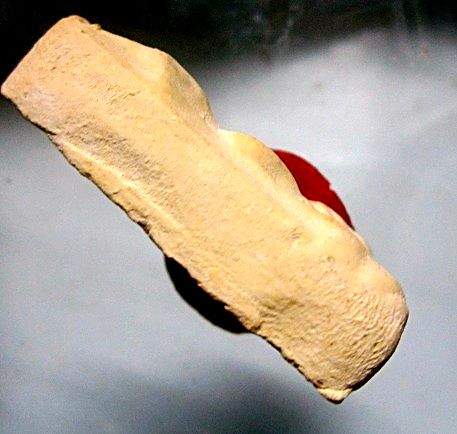 พระผงสุพรรณ หลวงปู่ดู วัดสะแก จ.อยุธยา องค์ที่2