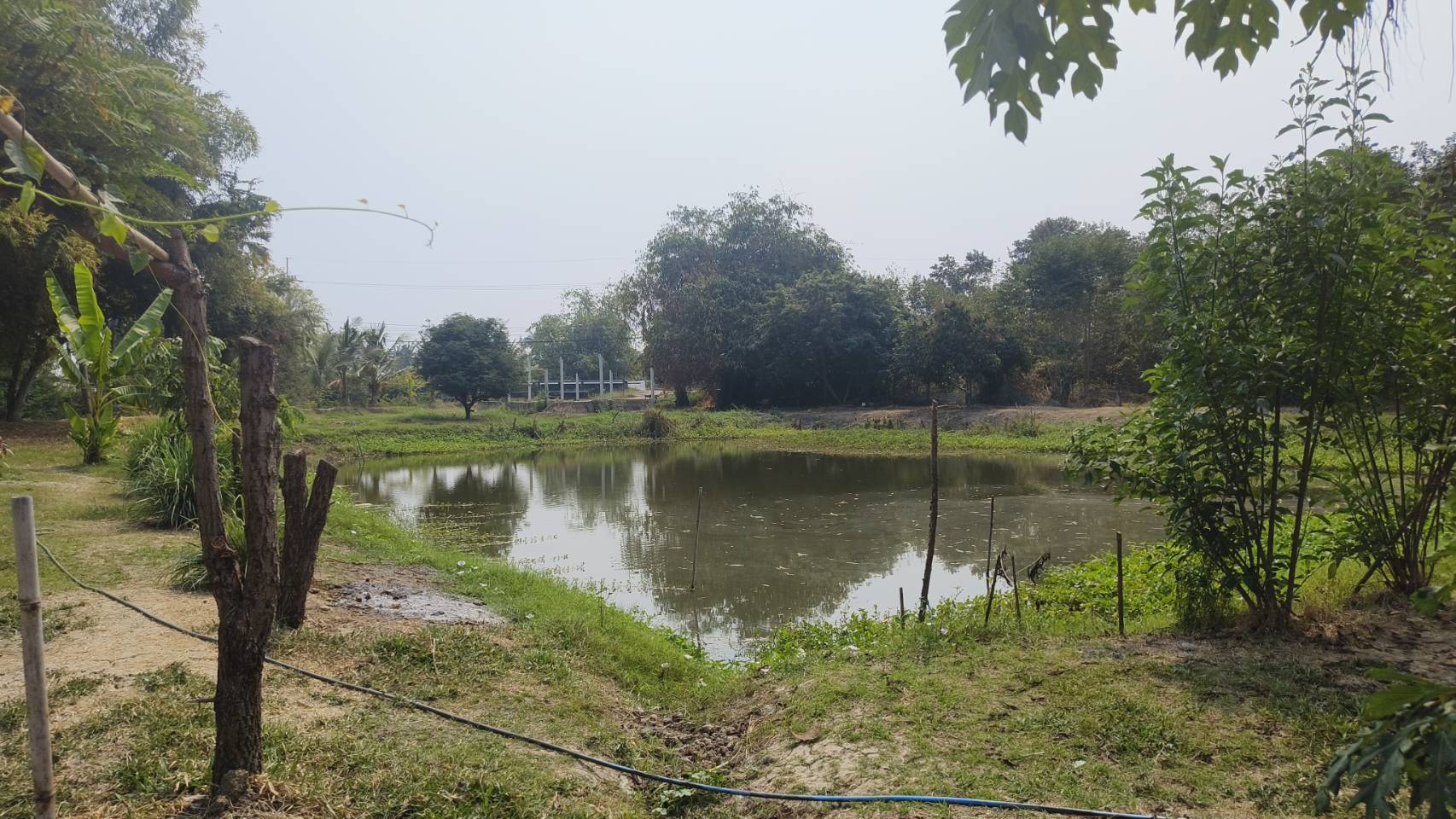 🌿 ขายด่วน! ที่ดินติดแม่น้ำ ทำเลทอง แหล่งท่องเที่ยว จ.นครปฐม 📍 บางระกำ บางเลน นครปฐม