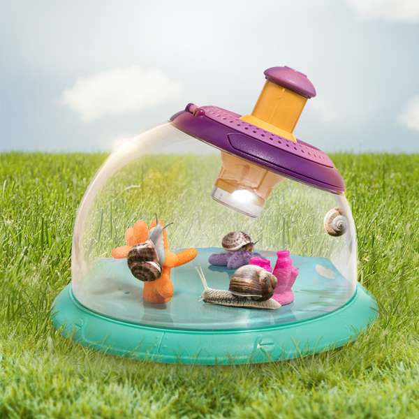 ชุดกล่องเลี้ยงปลาและแมลง สื่อการสอนอนุบาล,ปฐมวัย,ของเล่นเสริมพัฒนาการ, ของเล่นเสริมทักษะ