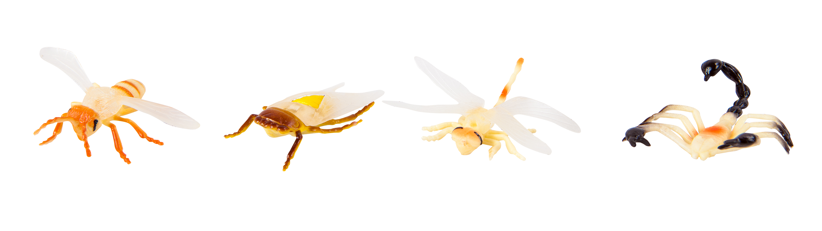 แมลงจำลอง (ชุดเล็ก), ของเล่นเสริมพัฒนาการ, ของเล่นเด็กอนุบาล, สื่อการสอนอนุบาล ,โรงเรียน,ห้องวิทยาศาสตร์ ,ของเล่นจำลอง ,พร้อมส่ง