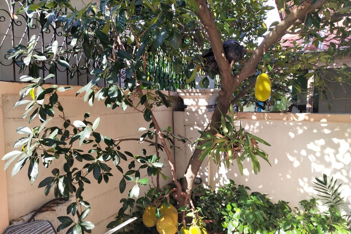 นาราสิริ สาทร-วงแหวน 129.2 ตร.ว. บ้านเดี่ยวหรูสไตล์อิตาเลียนจาก แสนสิริ บนทำเลศักยภาพ ริมถนนกาญจนาภิเษก เยื้องโรงเรียนเลิศหล้ากาญจนาภิเษก พื้นที่ใช้สอย : 320 ตร.ม. ห้องนอน : 4 ห้องน้ำ : 4 . ราคา : 14.5 ล้านบาท .