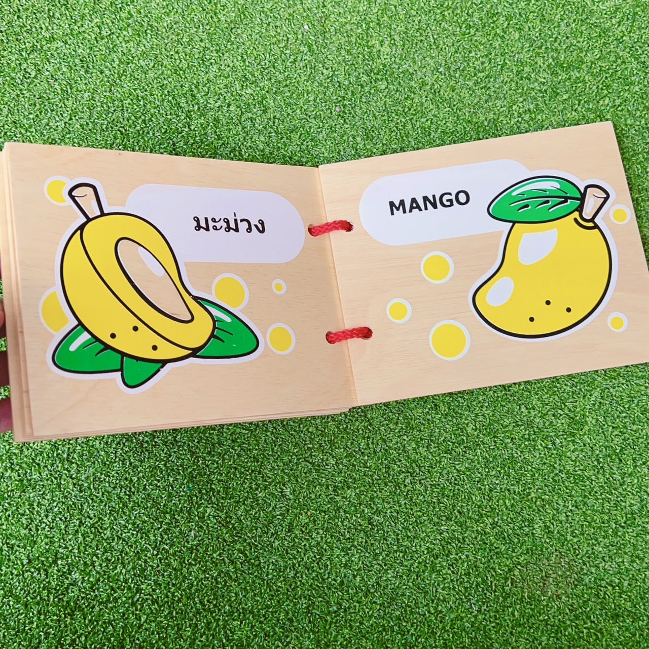 หนังสือไม้ผลไม้ ความรู้รอบตัวผลไม้ และสี พร้อมส่ง, ของเล่นไม้, สื่อการสอนอนุบาล,ปฐมวัย, ,ของเล่นเสริมพัฒนาการ, ของเล่นเสริมทักษะ