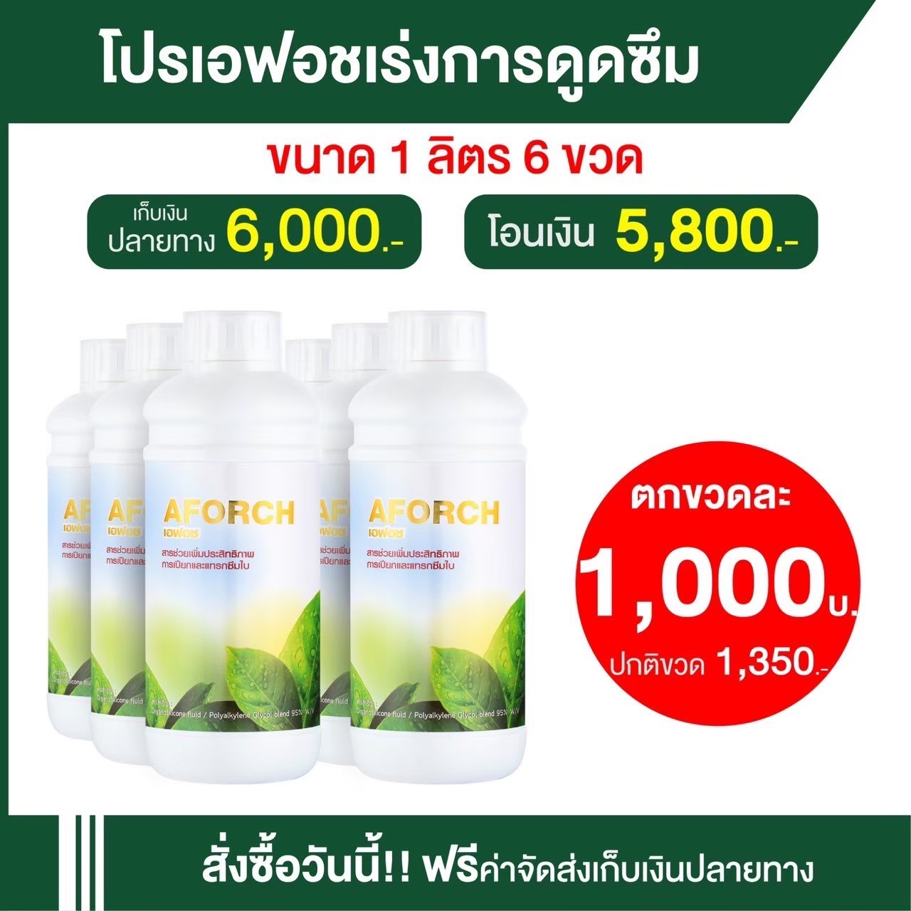 เอฟอช 6ลิตร แถม100ซีซี3ขวด ฟรี