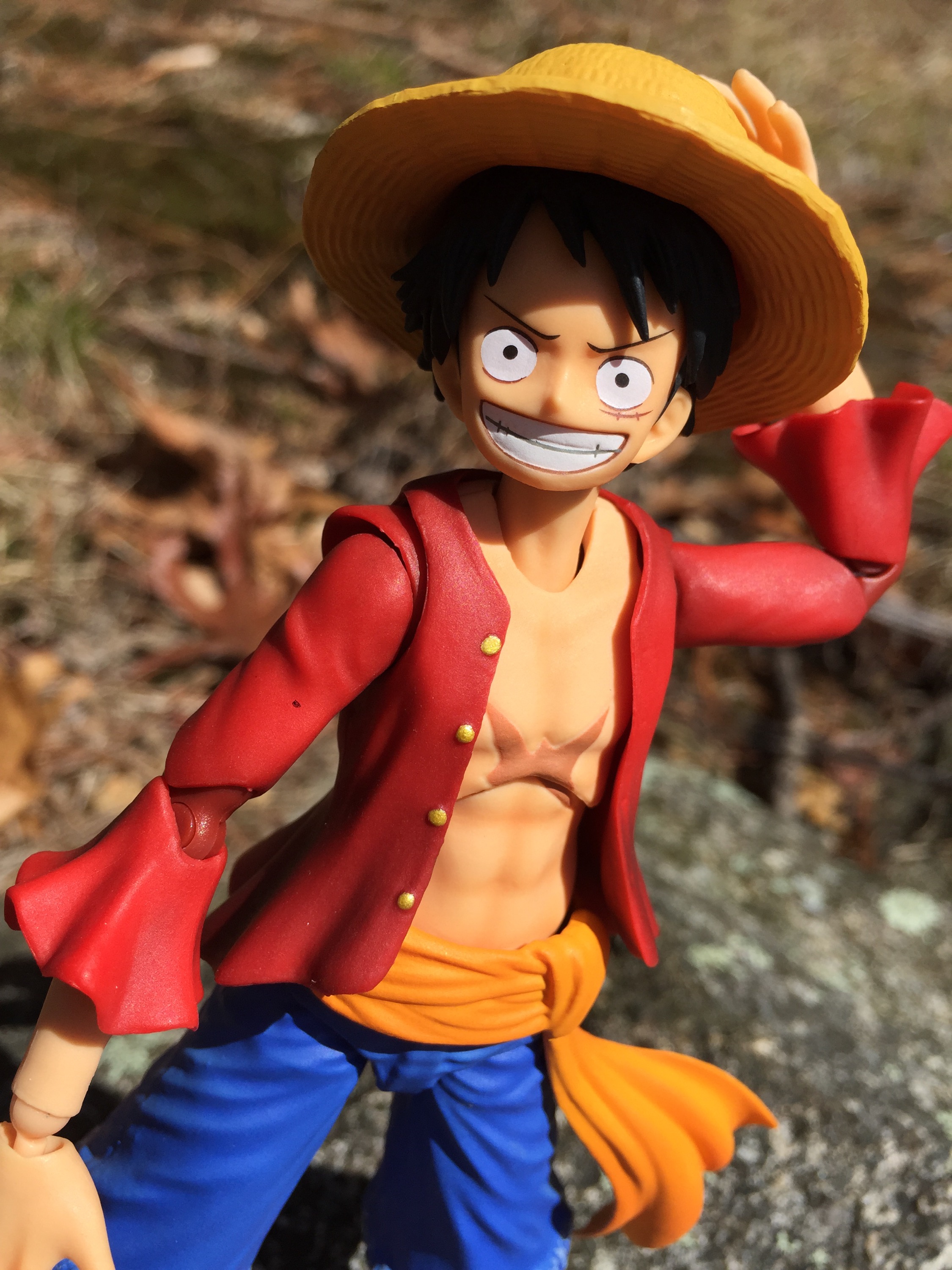 Luffy (ขยับได้) ของแท้ JP แมวทอง - Variable Action Heroes Megahouse [โมเดลวันพีช]