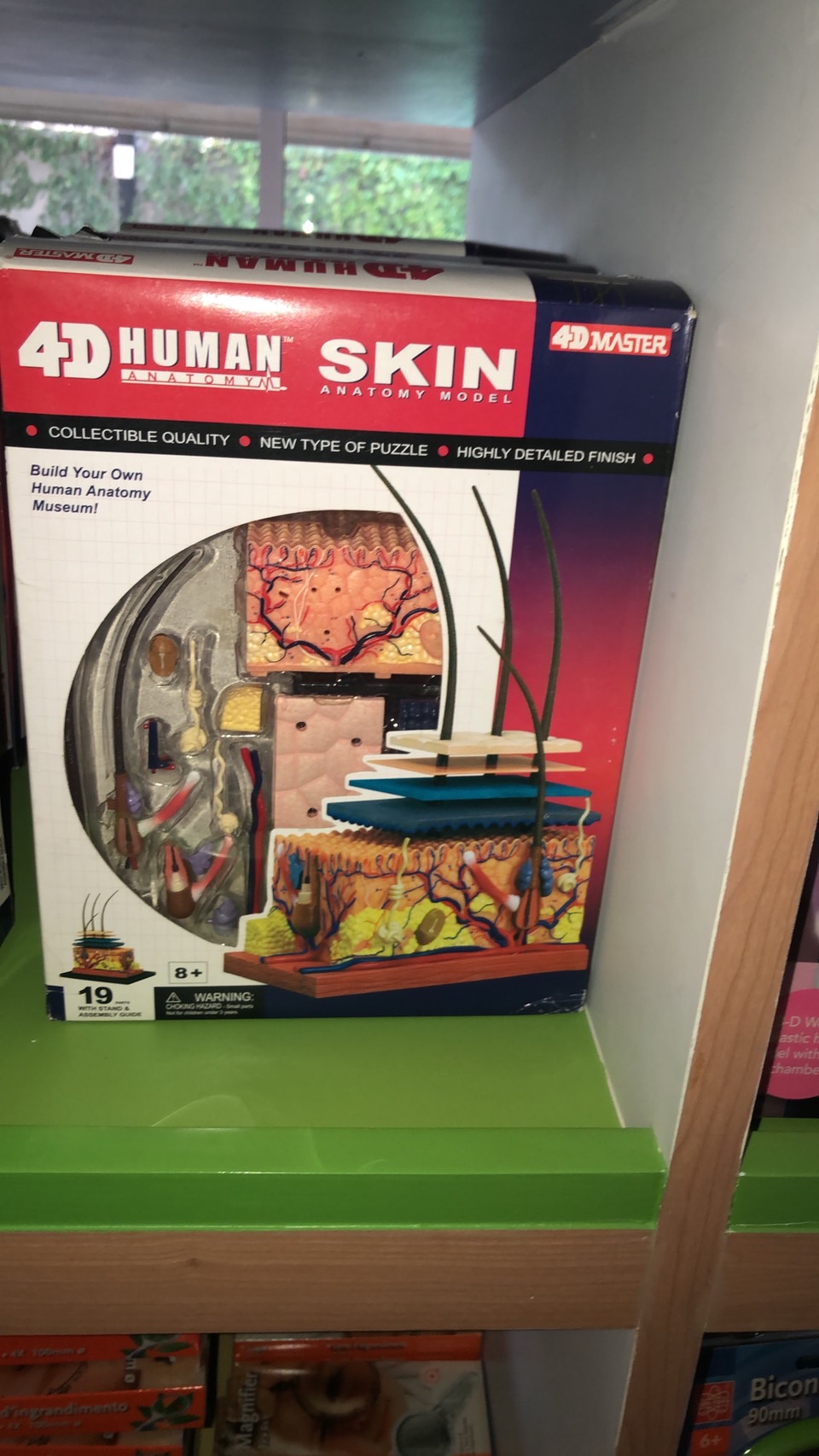 แบบจำลองผิวหนัง โมเดล Skin-4D Model สื่อการสอน วิทยาศาสตร์ การแพทย์ สื่อการสอนอนุบาล,ปฐมวัย, ,ของเล่นเสริมพัฒนาการ, ของเล่นเสริมทักษะ