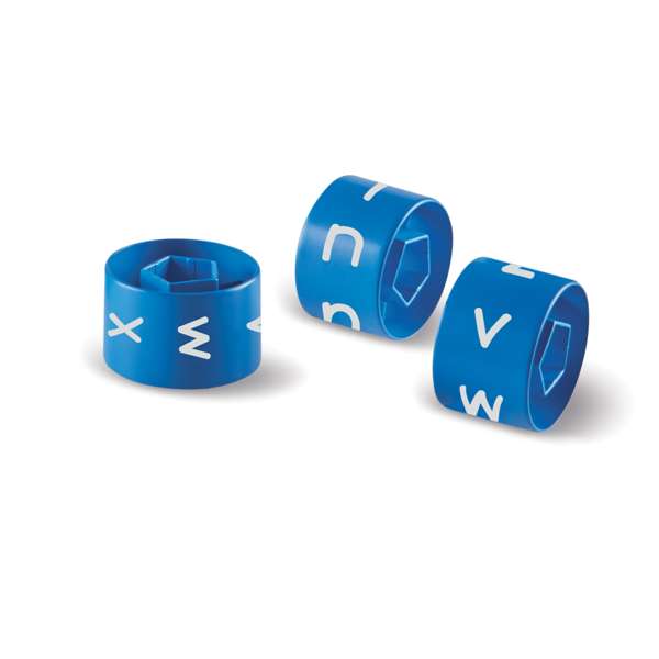 ชุดเรียนรู้คำศัพท์พื้นฐาน วงแสนแสนหรรษา สื่อการสอนอนุบาล,ปฐมวัย,ของเล่นเสริมพัฒนาการ, ของเล่นเสริมทักษะ