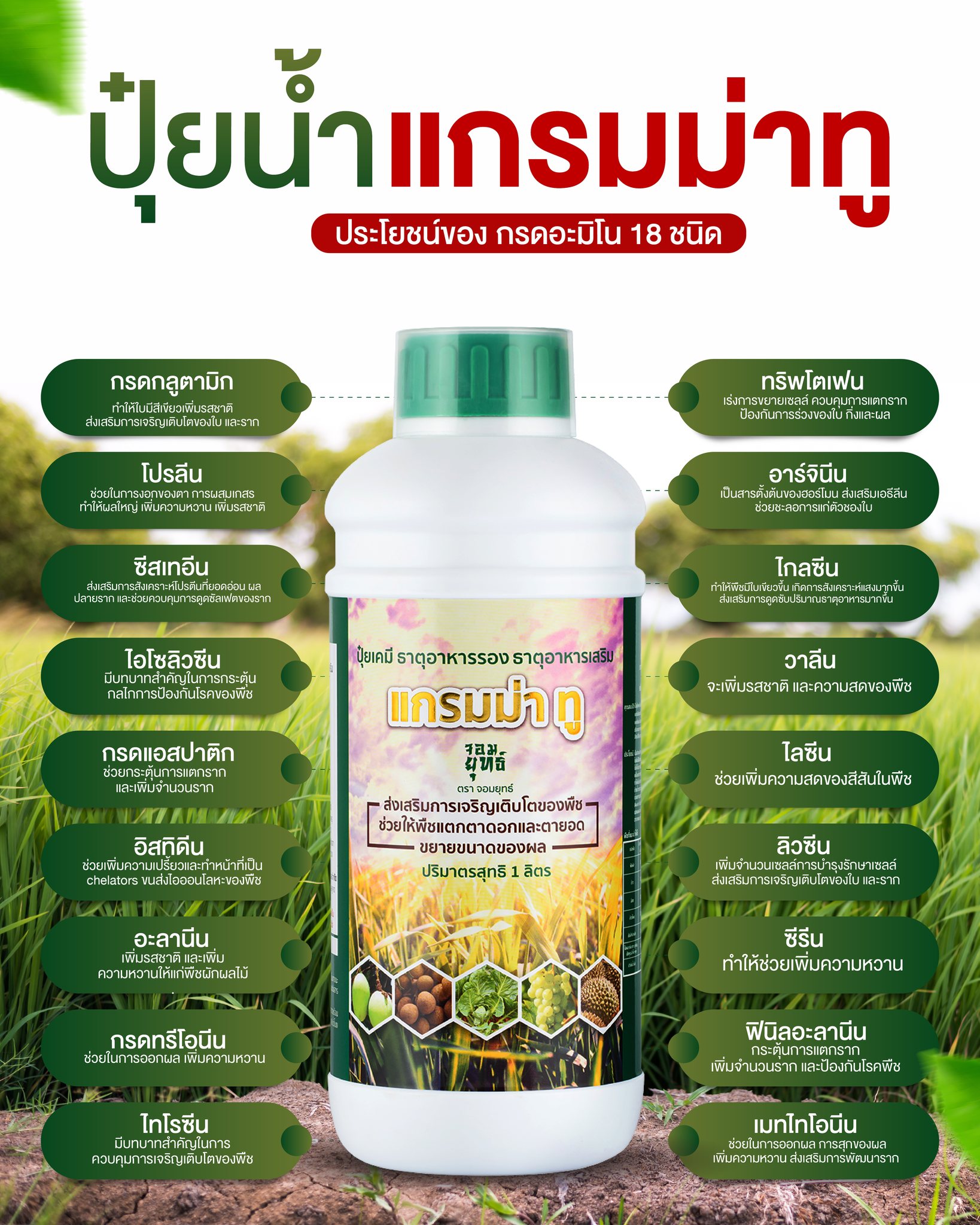 ปุ๋ยซีโฟ 1ลิตร 1ลัง12ขวด (แถมฟรี เสื้อเอฟอช 1 ตัว)