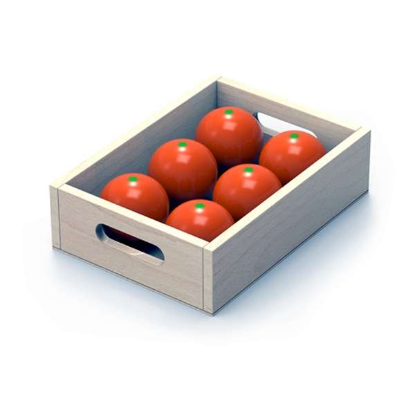 ชุดผักและผลไม้จำลอง 10 ชนิด สื่อการสอนอนุบาล,ปฐมวัย,ของเล่นเสริมพัฒนาการ, ของเล่นเสริมทักษะ