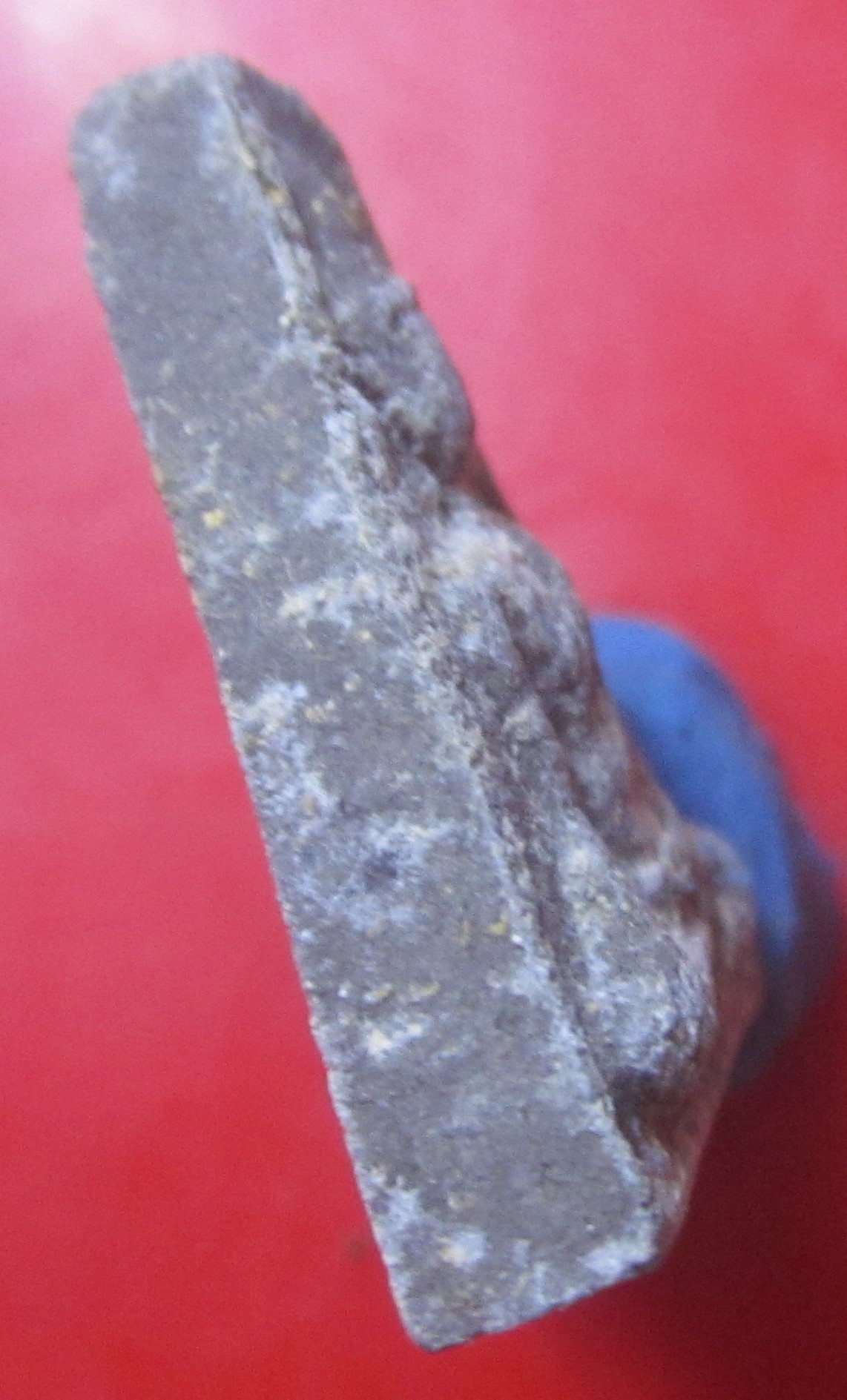 พระนางพญา เนื้อว่าน108รุ่นแรก หลวงพ่อวีระนนท์ วัดป่าเจริญราช อ.ลำลูกกา จ.ปทุมธานี ปี2554 องค์ที่8