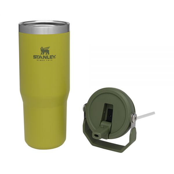 Classic Flip Straw Tumbler 30Oz Aloe