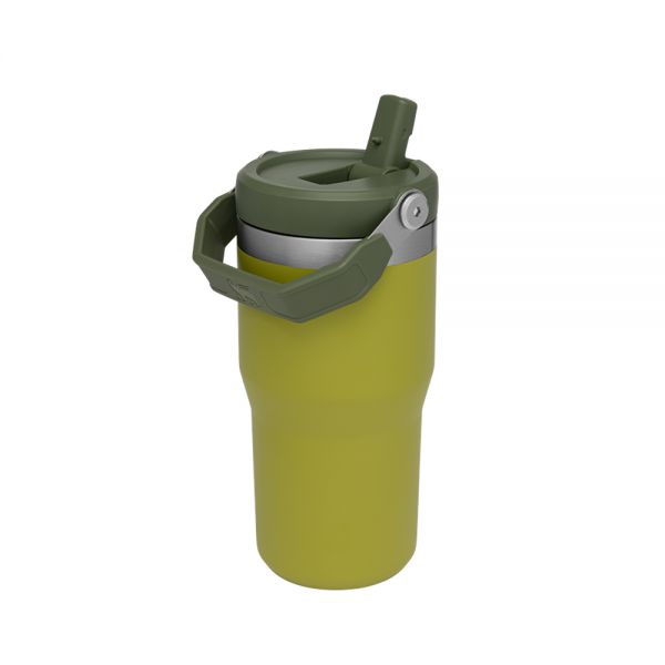 Classic Flip Straw Tumbler 20Oz Aloe