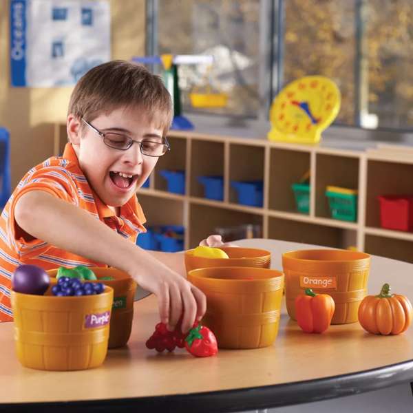 ชุดฝึกแยกสีผลไม้หลากสีหรรษา สื่อการสอนอนุบาล,ปฐมวัย,ของเล่นเสริมพัฒนาการ, ของเล่นเสริมทักษะ