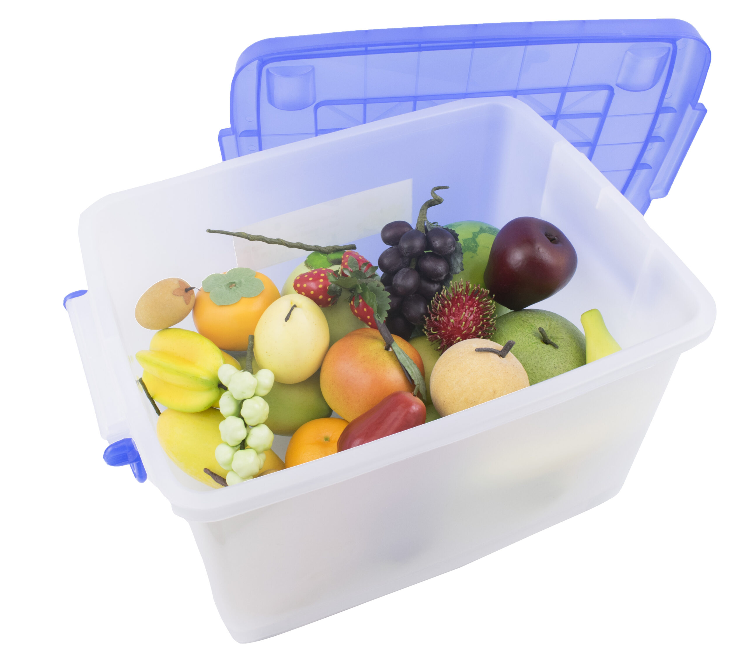 เซ็ตผลไม้จำลอง 25 เเบบ ของเล่น ผลไม้ปลอม ผลไม้ของเล่น สื่อการสอน ของเล่นเสริมพัฒนาการ