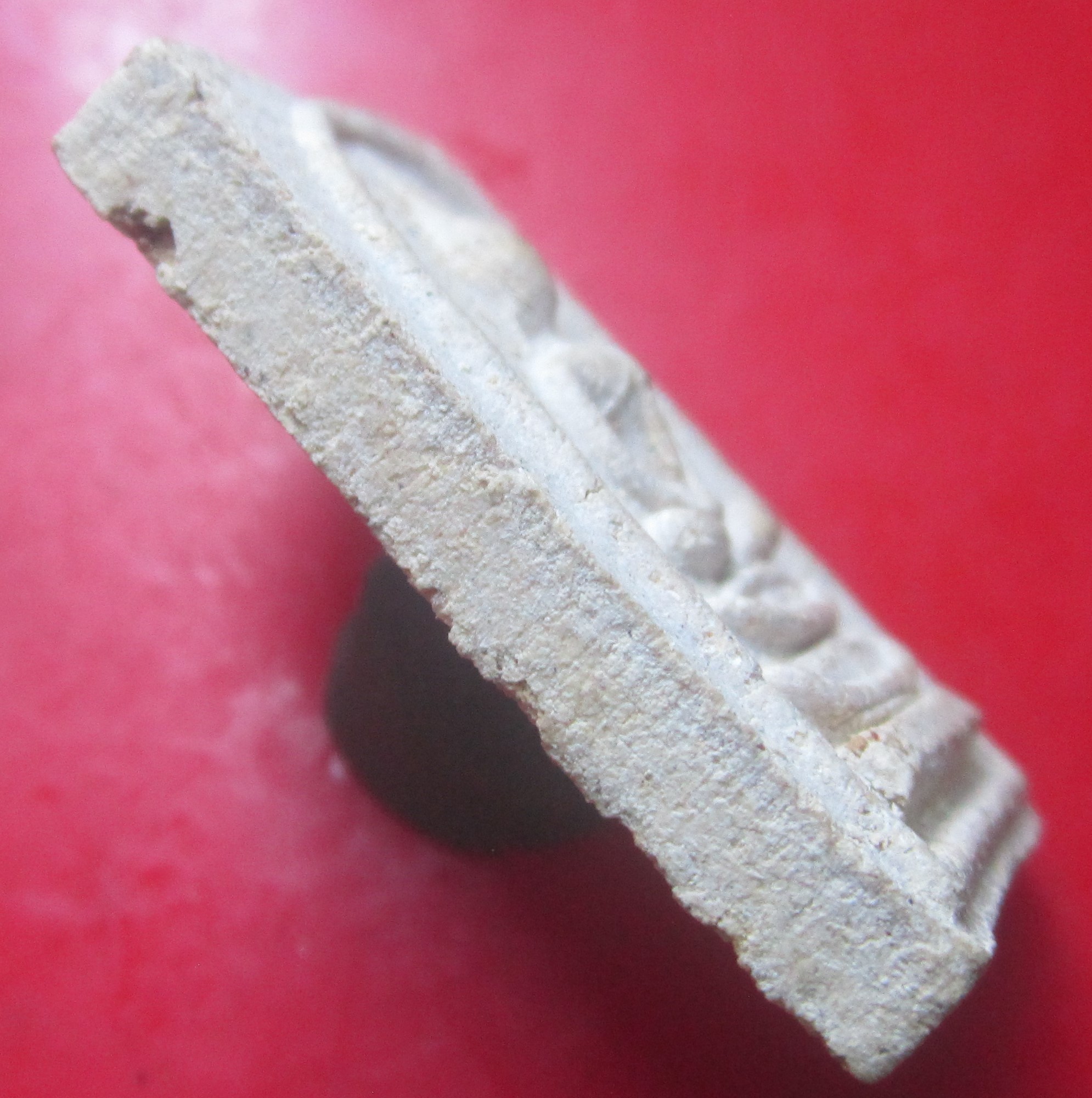 พระสมเด็จ 90พรรษา หลวงพ่อชอบ วัดเขารังเสือ จ.ราชบุรี ปี2543