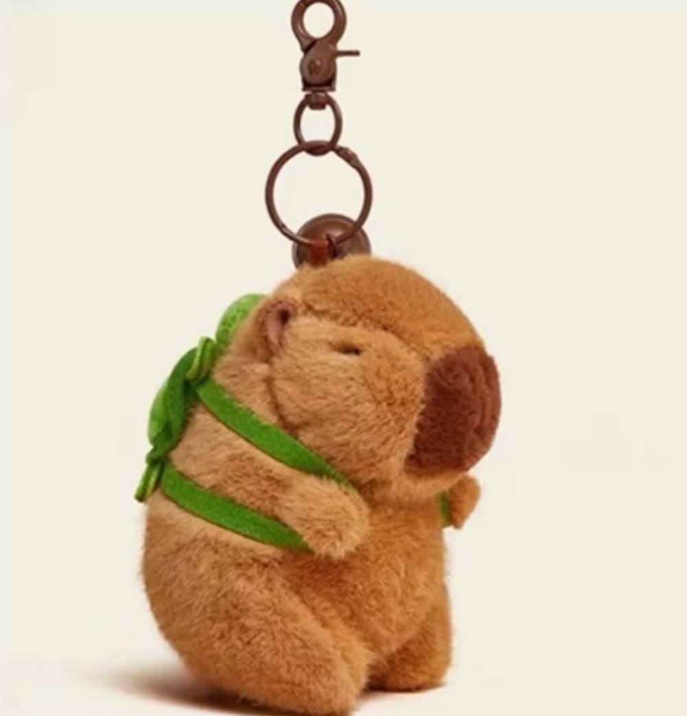 Capybara Jenny Turtle