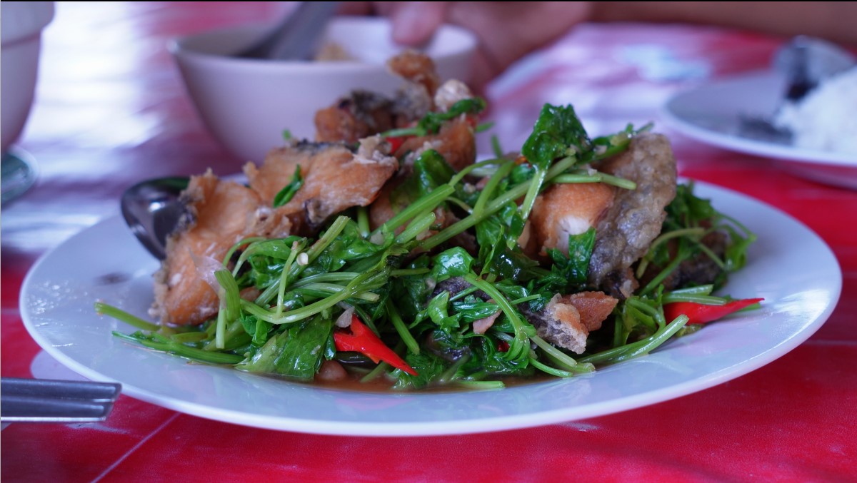 ปลาช่อนทอดผัดขึ้นไช่ อาหารขึ้นชื่อของ ครัวลุงระ นครชัยศรี