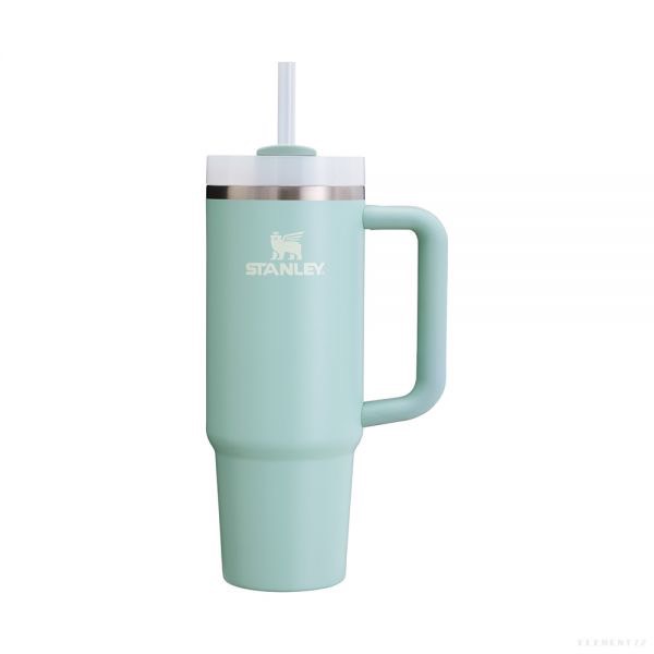 Adventure Quencher 2.0 TM Tumbler 30Oz Seafoam