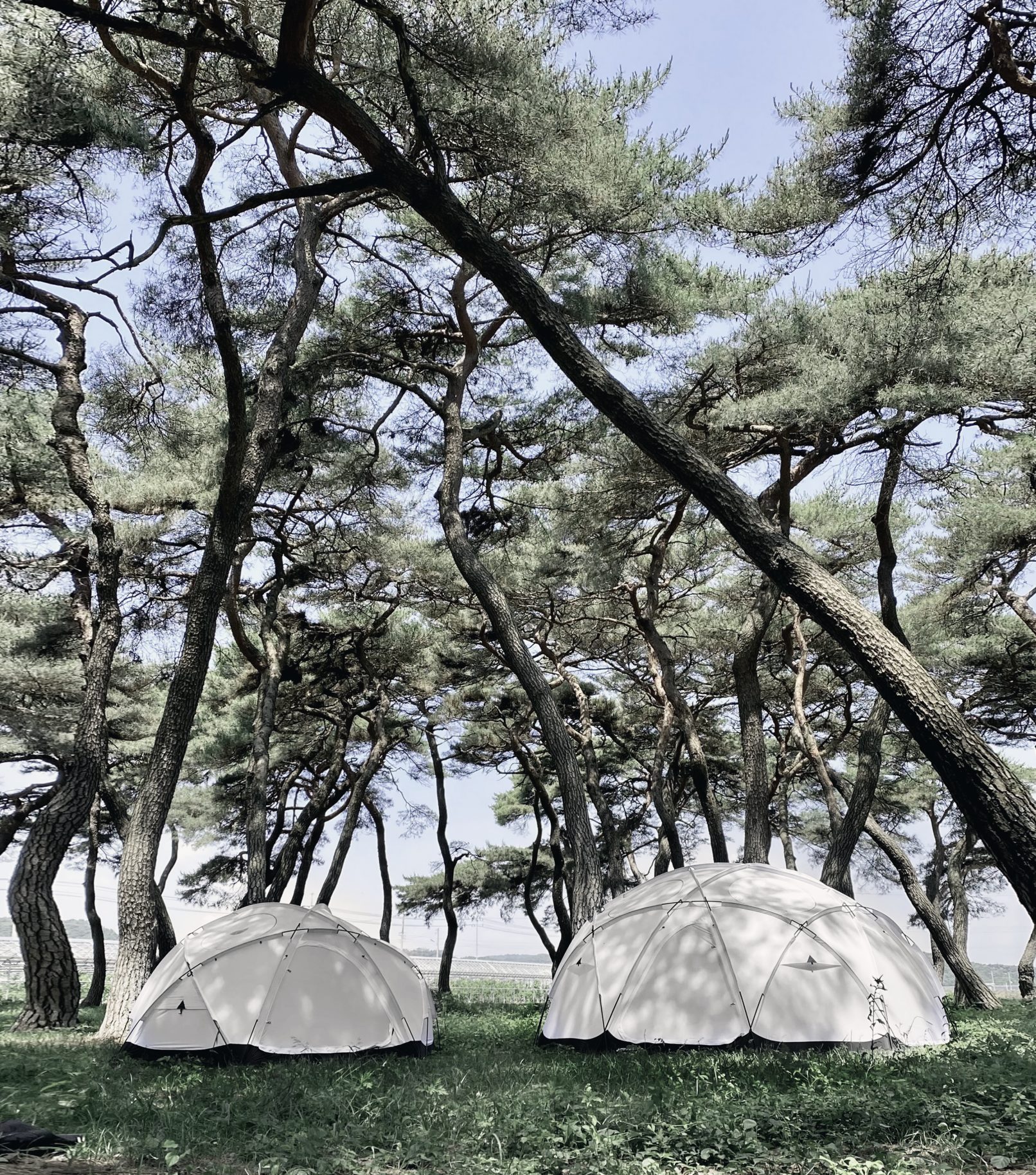 GroundCover Acorn House Dome 4.75 Tent Tan - Ground Cover - Acorn