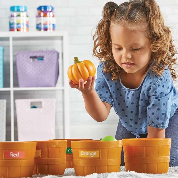 ชุดฝึกแยกสีผลไม้หลากสีหรรษา สื่อการสอนอนุบาล,ปฐมวัย,ของเล่นเสริมพัฒนาการ, ของเล่นเสริมทักษะ